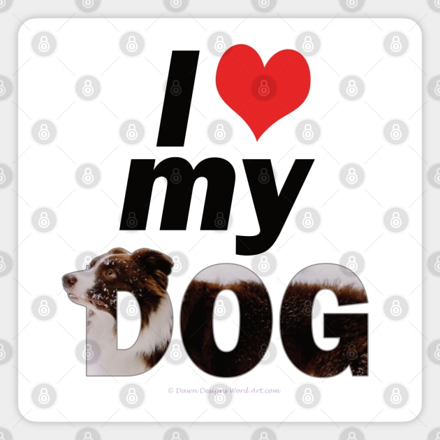 I love (heart) my dog - brown and white collie in snow oil painting word art Magnet by DawnDesignsWordArt